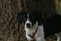 Libby standing in front of a tree (270mm, f/5.6, 1/250 sec)<!--CRW_2022.CRW-->