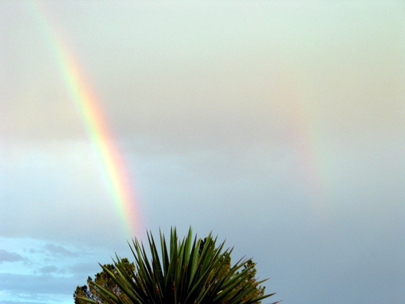rainbow-squared
